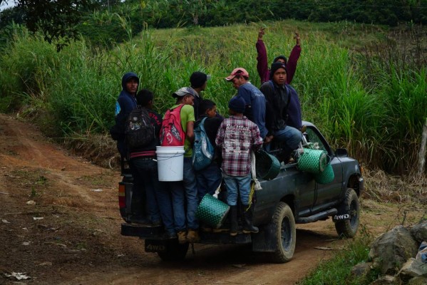 Millonarias pérdidas por falta de cortadores de café