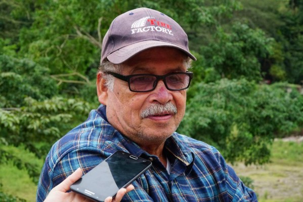 Millonarias pérdidas por falta de cortadores de café