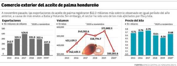 Acuerdan acciones para comenzar a reactivar sector de palma aceitera