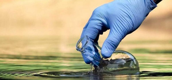 Diseñan microrobots que eliminan bacterias contaminantes del agua