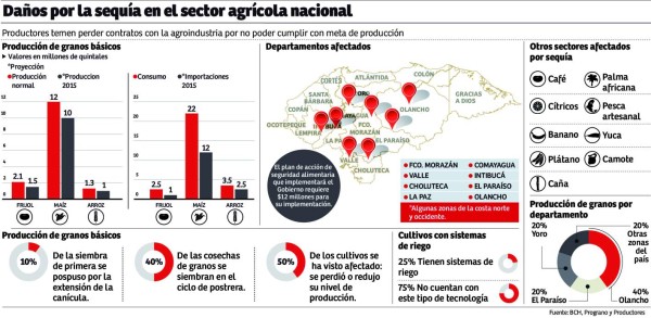 Sequía deja 'crudos” a productores y ya le quita L140 millones a Lempira