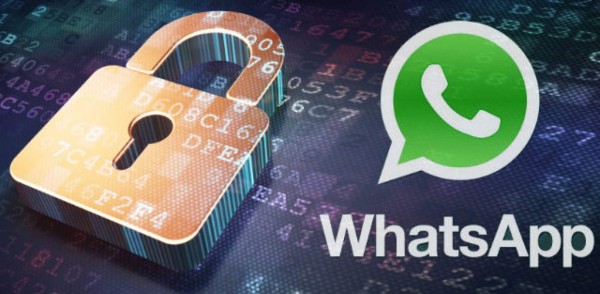 Cinco pasos para un WhatsApp más seguro