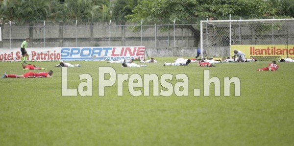 Enjambre de abejas mandó al suelo a jugadores en Honduras