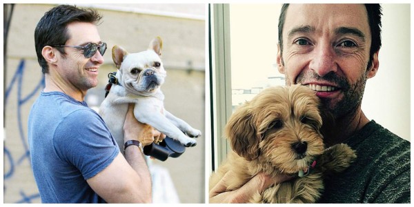 Hugh Jackman habla con sus perros por videollamada