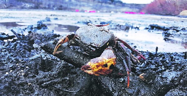 Foto: La Prensa