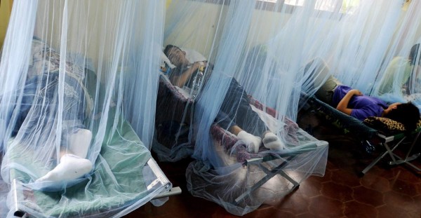 Honduras registra 155 personas muertas por dengue en 2019