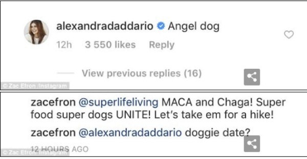 Zac Efron coquetea con Alexandra Daddario en Instagram