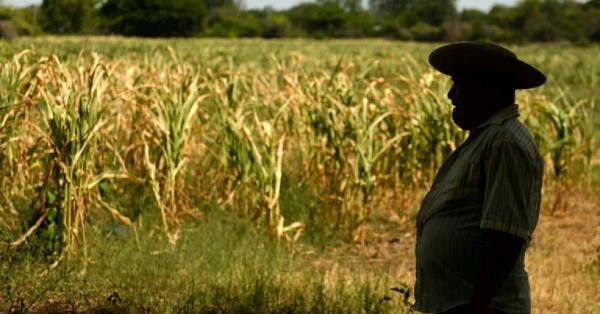 Severa sequía golpea el este de El Salvador