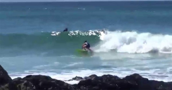 Video viral: Surfista rescata a una mujer de las turbulentas olas del océano