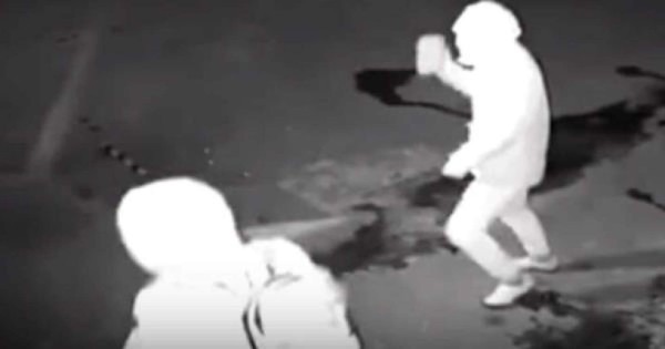 Video: Ladrón noquea a su compinche de un ladrillazo