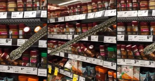 Video viral: Hallan enorme serpiente en un supermercado