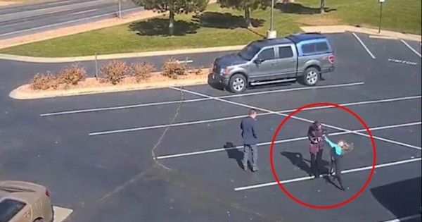 Video viral: perro ataca salvajemente a una niña en un estacionamiento  
