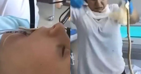 Video viral: mujer se quedó dormida y una serpiente se metió en su boca