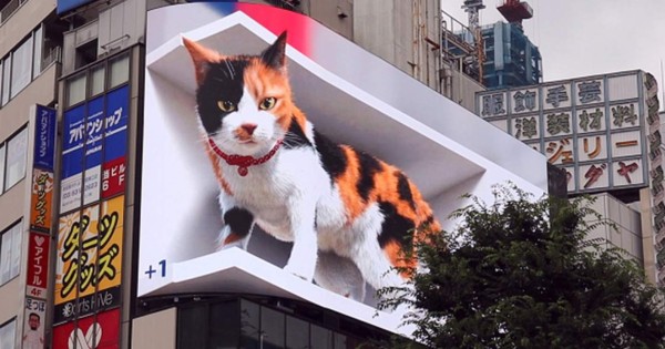 Video viral: el gato gigante en 3D que sorprende a los habitantes de Tokio