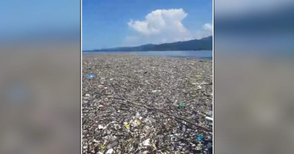 Toneladas de basura vuelven a llegar a las playas de Omoa