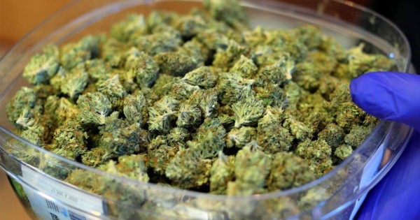 El estado de Florida autoriza la venta de marihuana comestible