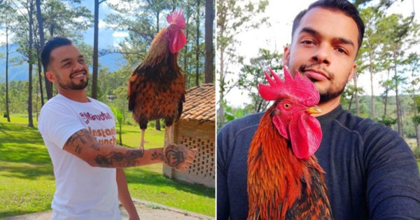 Viral: Chef de Buen Provecho tiene de mascota un gallo llamado 'Don Pio'