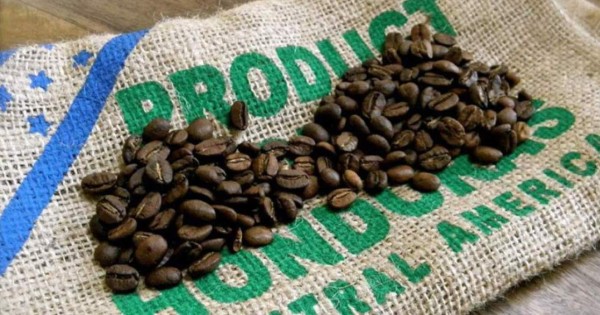 Exportación de café hondureño cae a 7.2 millones de sacos