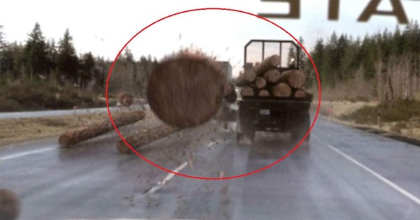Destino Final: Un vehículo es atravesado por enorme tronco