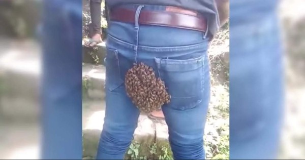 Viral: enjambre de abejas se adhiere a hombre en el lugar menos pensado