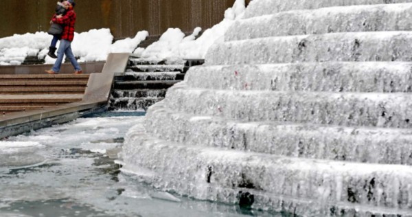 Florida se prepara para lluvia de iguanas por nevadas