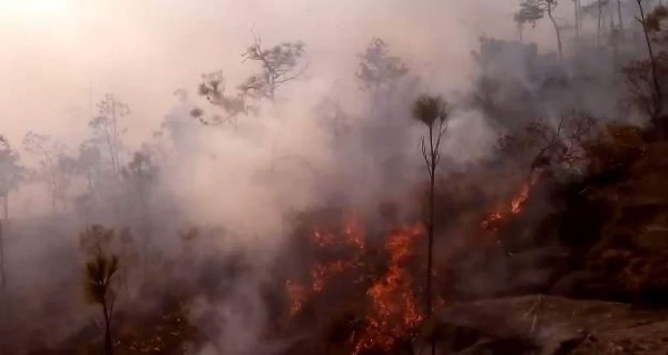 Un hondureño de 73 años muere al intentar apagar un incendio