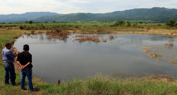 Colapso de pilas de oxidación tiene al borde de la epidemia a Villanueva