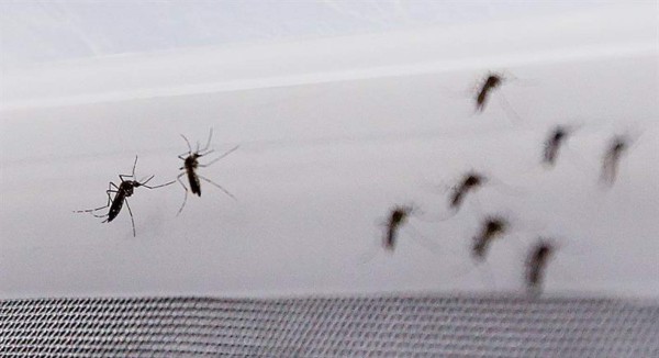 Costa Rica confirma el primer caso de Guillain Barré por zika  