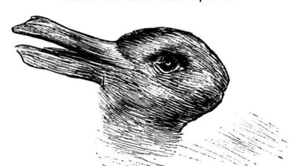 ¿Qué es lo que ves, pato o conejo?