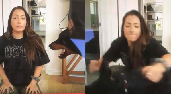 Indignante: Youtuber se graba por error golpeando a su perro