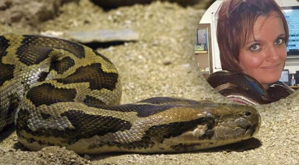 Encuentran el cadáver de una mujer con una pitón enrollada al cuello en EEUU