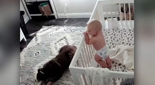 Video viral: Mujer instala cámara de seguridad en cuarto del bebé y se lleva sorpresa