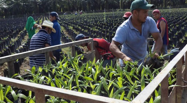 Asentamientos urbanos crecen cerca del 30% al año en la costa norte