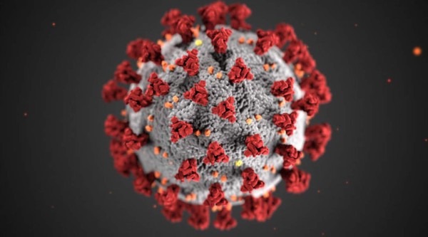 Cronología del coronavirus en Honduras: Más de 500 contagios y 47 muertos