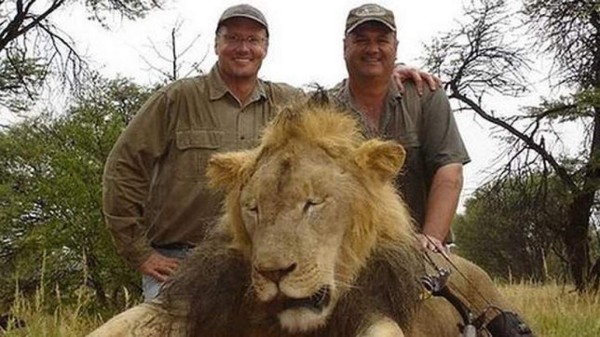 Zimbabue pide extradición del cazador que mató al león Cecil
