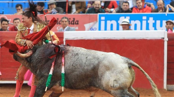 El hecho se produjo cuando el toro saltó fuera del ruedo. Foto EFE.