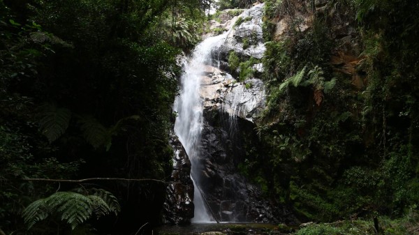 El Cusuco, un paradisiaco lugar en las faldas de El Merendón