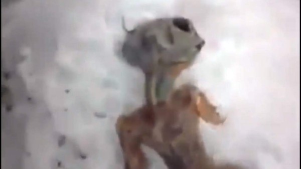 VIDEO: Encuentran extraño cuerpo 'extraterrestre' en la Siberia