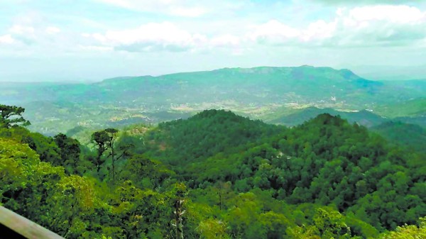 La botija, patrimonio natural del bicentenario