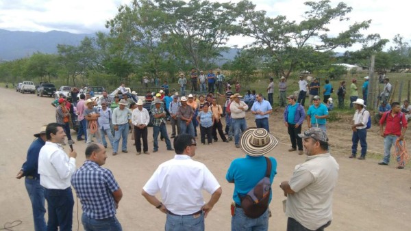 Impulsan industria de la leche en Intibucá con entrega de ganado