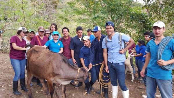 Crece controversia por la calidad de la carrera de Medicina Veterinaria