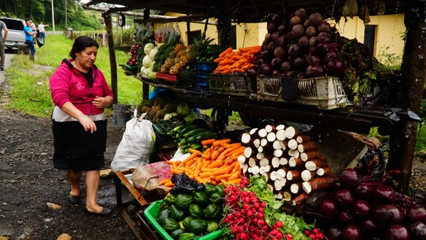 Conozca El Güisayote: zona fría de hermosas y elevadas praderas