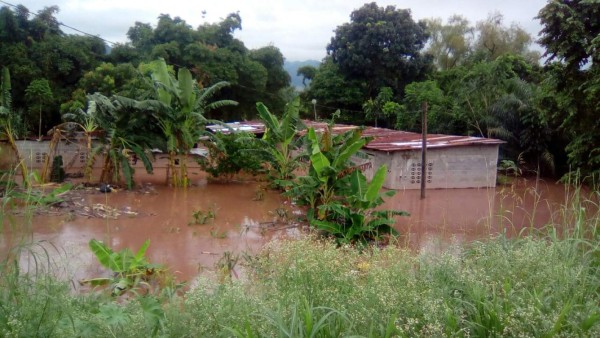 Foto: La Prensa