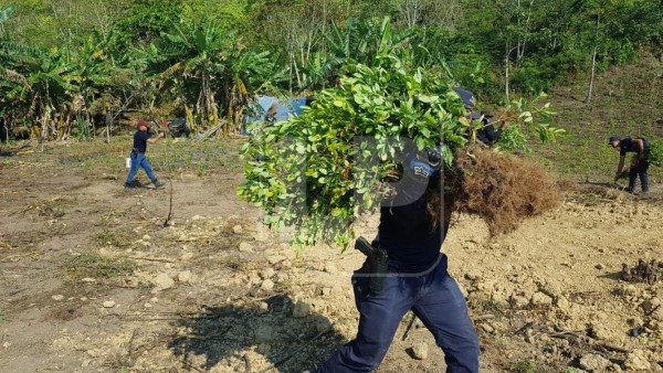 Foto: La Prensa