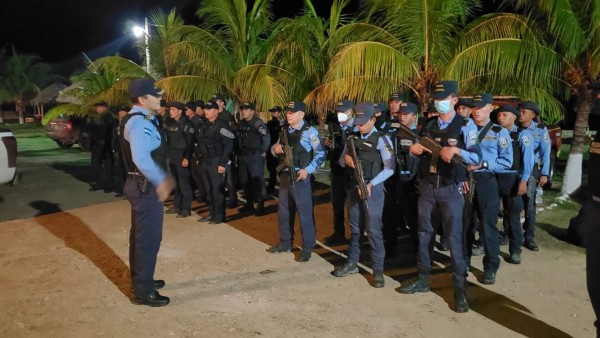 Policía prepara la erradicación de más de 5 manzanas cultivadas de coca