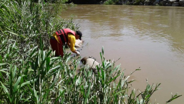 Hallan muertos a los cuatro hombres desaparecidos en La Lima, Cortés