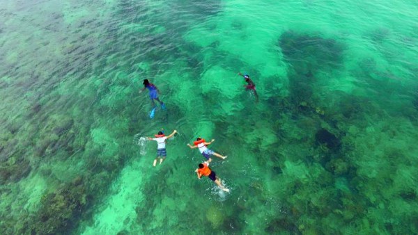 Bucear o hacer snorkel es posible gracias a las aguas cristalinas que permiten ver parte de la segunda barrera de arrrecife de coral más grande del mundo.