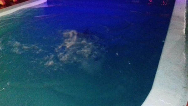 Guatemalteco es encontrado muerto en una piscina de hotel sampedrano