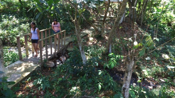 Termas Jilamito, un regalo de la naturaleza en Atlántida