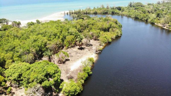 “Son dos sectores afectados en el parque: el sector Carbajal y los Bajos de Hicaque. Solo una tormenta, la Fuerza Área y Palmerola que pudiera ayudarnos a controlar”, dijo Nelbin Bustamante, técnico de Prolansate.